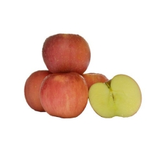 Fresho Apple - Fuji, Regular